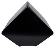 DiaMon RP - Remote Powered Main Speaker - Black