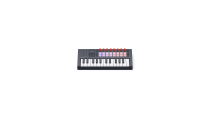 Novation FLkey 2 Mini 25 25-Key MIDI Keyboard made for FL Studio