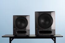ADAM Audio Sub10 PRO 10" Active Studio Subwoofer
